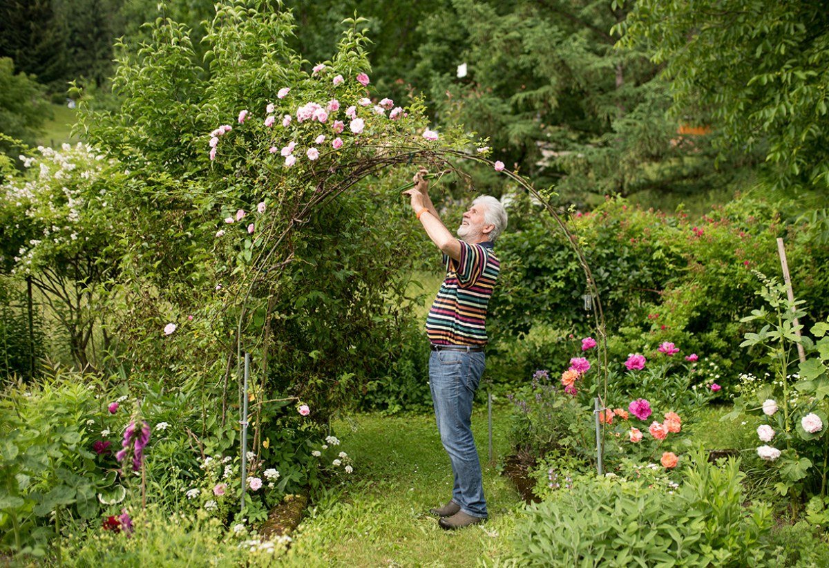 Faszination Garten Im Jahreslauf