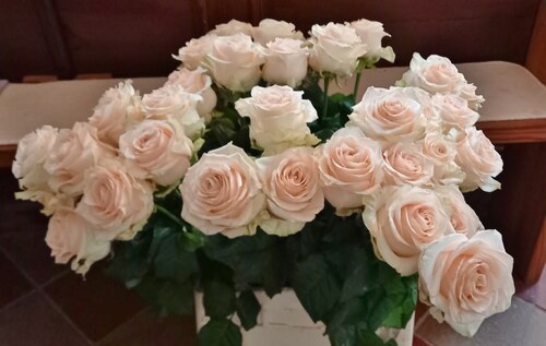 Weiße Rosen als Zeichen für Dank und Anerkennung<br />
(Foto: Rainer Furlan)