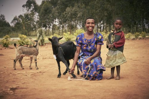 “Ziegen für Familien in Burundi“ (Foto: Jork Weismann / Caritas)