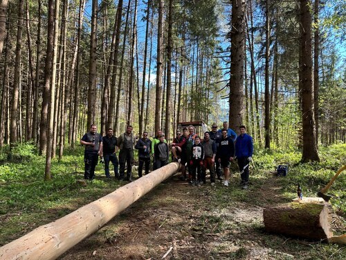 Maibaum für die FF Schwabegg aus dem Pfarrwald • Mlaj za žvabeške gasilce ob stoletnici obstoja 