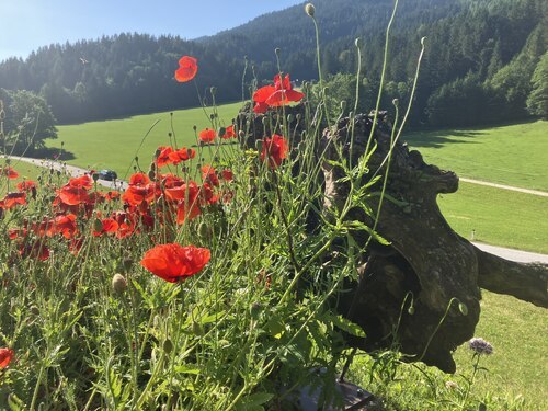 Bildunterschrift (Bildrechte sind zwingend anzugeben!)