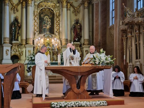 Gemeinsam mit den Franziskanern und der gesamten ungarischsprachigen Gemeinschaft, feiern wir gemeinsam Gottesdienst am Hochfest des hl. Antonius von Padua.<br />
Foto: Monika Dreger