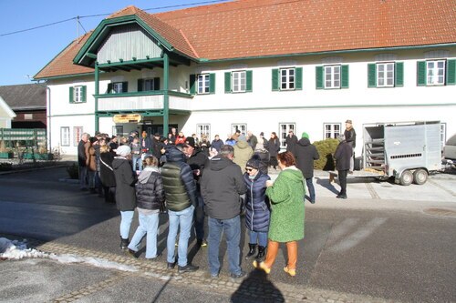 Schweinenversteigerung in Schwabegg • Dražba živega prašiča v Žvabeku 2025