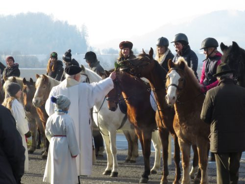 In vielen Kärntner Pfarren finden am 26. Dezember Pferdesegnungen (im Bild: Stefanisegnung in der Pfarre St. Donat) statt. Foto: Theres Berger